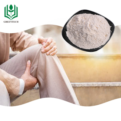Haifisch-Knorpel-Chondroitin-Sulfat-Ergänzung weg vom weißen Pulver für Psoriasis