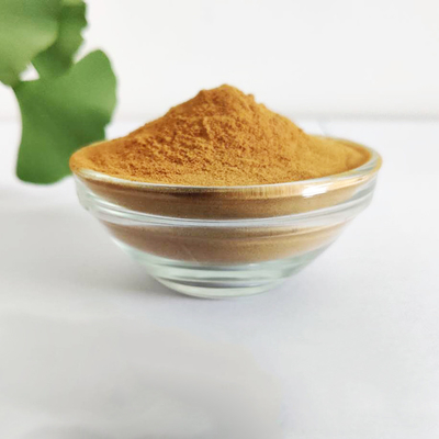 Natürlicher Ginkgo Biloba extrahieren 24/6 Pulver für diätetische Ergänzung